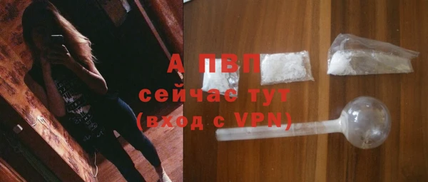 крисы Верхний Тагил