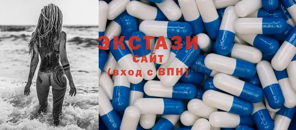 крисы Верхний Тагил